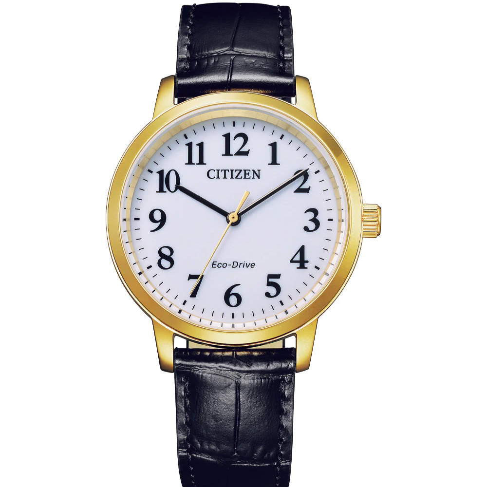 Citizen Gents Eco-Drive Stainless Steel Gold Plated Watch