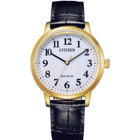 Citizen Gents Eco-Drive Stainless Steel Gold Plated Watch