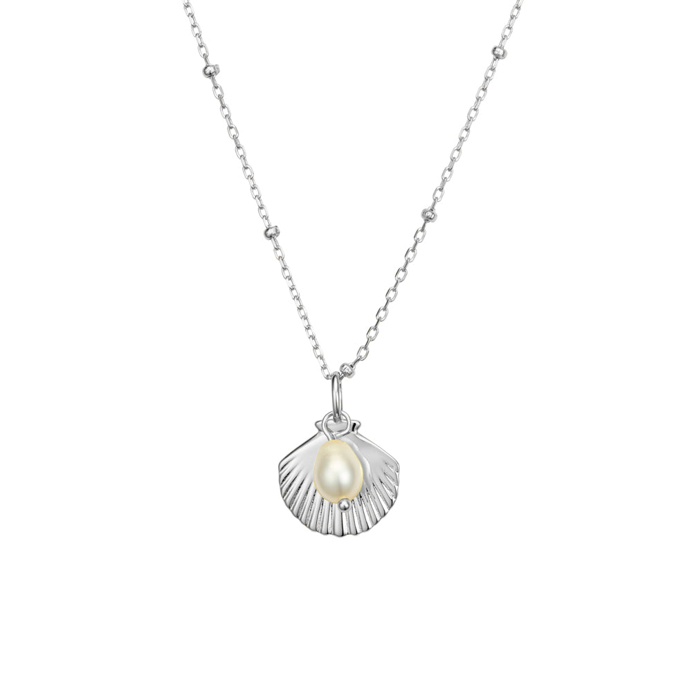 Sterling Silver Shell Pendant & Freshwater Pearl Necklace