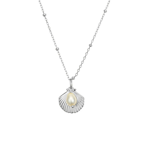 Sterling Silver Shell Pendant & Freshwater Pearl Necklace