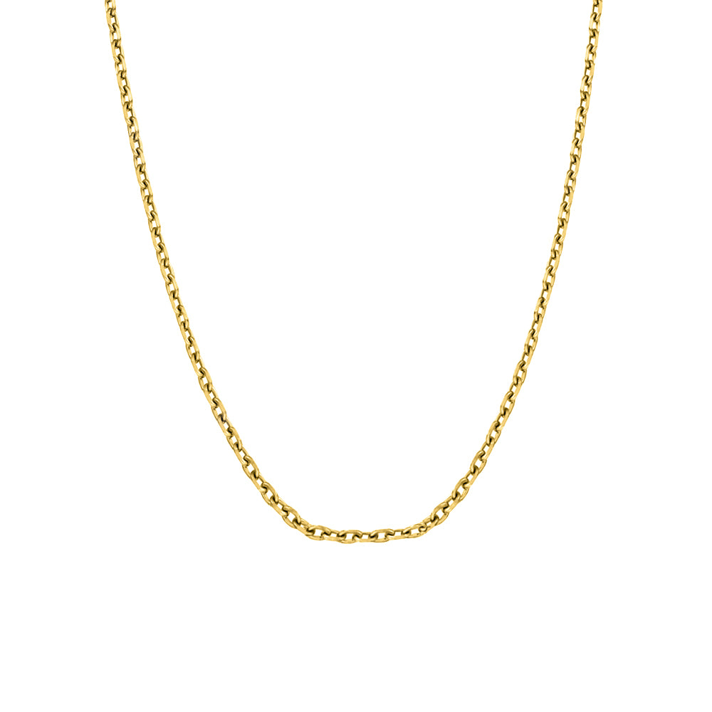 Blaze Stainless Steel Gold Plated Fine Cable Chain