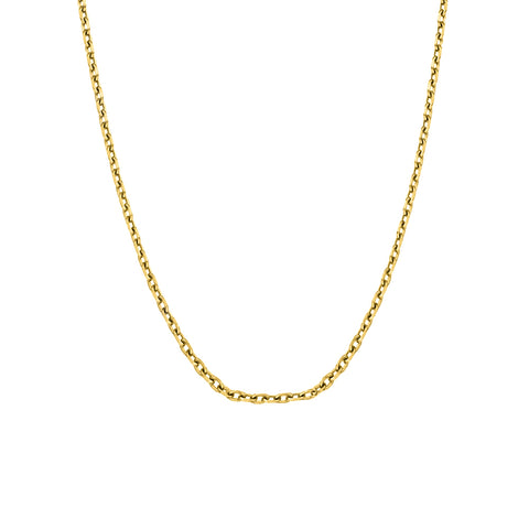 Blaze Stainless Steel Gold Plated Fine Cable Chain