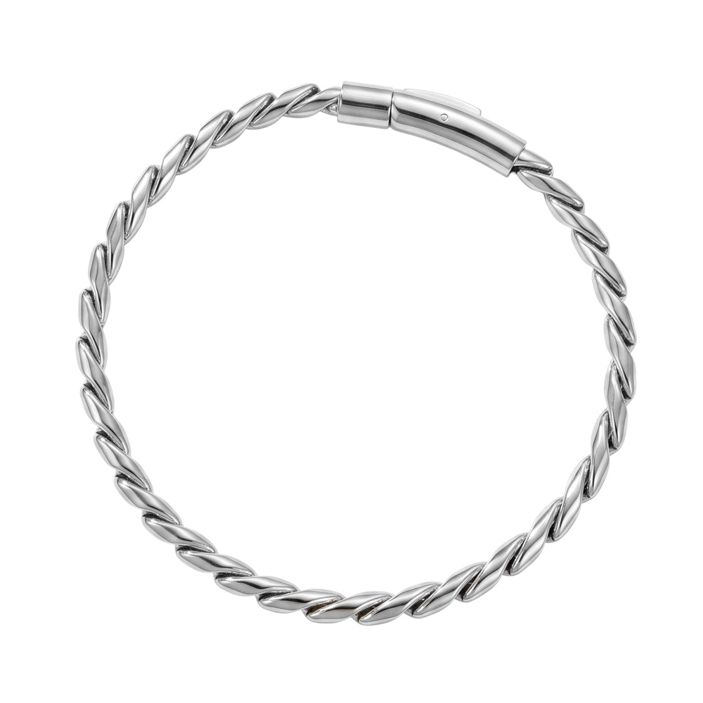 Blaze Stainless Steel Serpentine Link Bracelet