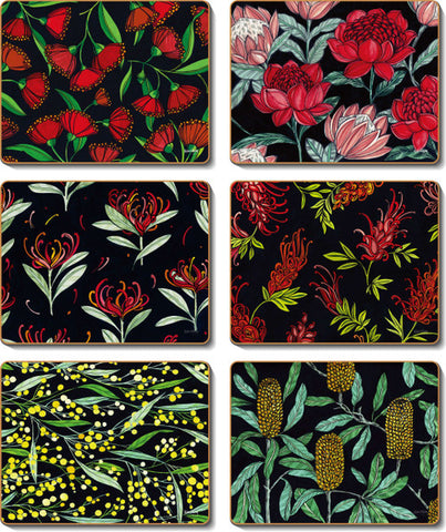 Modern Native Coasters Set of 6