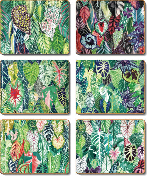 The happy houseplant placemats