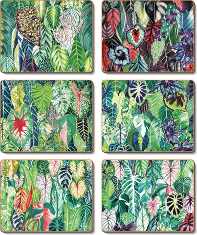 The happy houseplant placemats