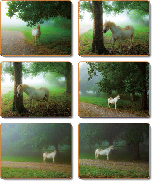 Pony Coasters Set of 6