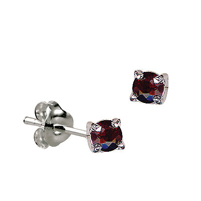 Sterling Silver January Birthstone Earrings