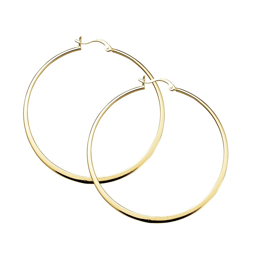 Silver Gold Plated Hoops